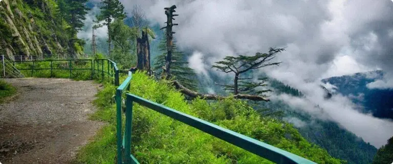 Murree Travel Guide 2026 – Hotels, Food, and Attractions